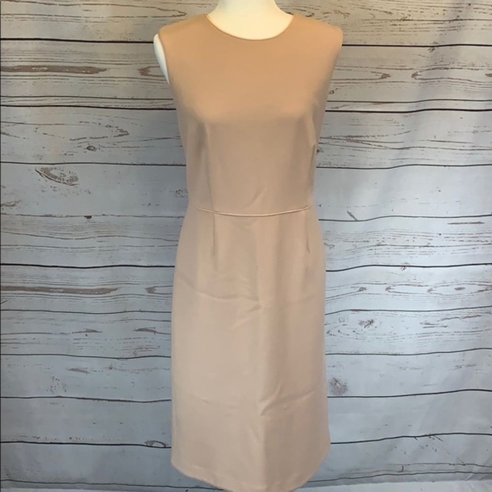 Ann Taylor Dress